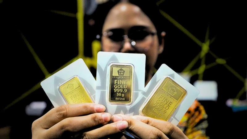 Beranda download (8)